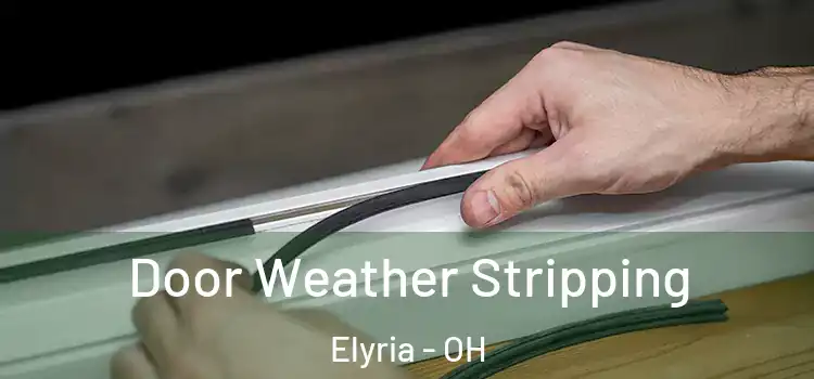  Door Weather Stripping Elyria - OH