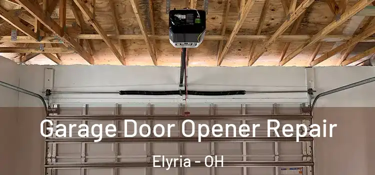  Garage Door Opener Repair Elyria - OH