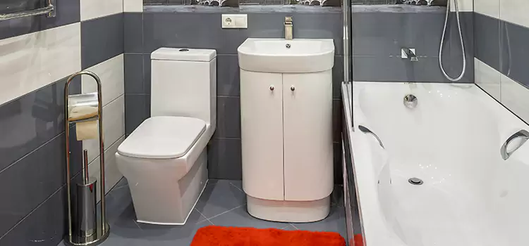 Hansgrohe Shaving Mirror Elyria