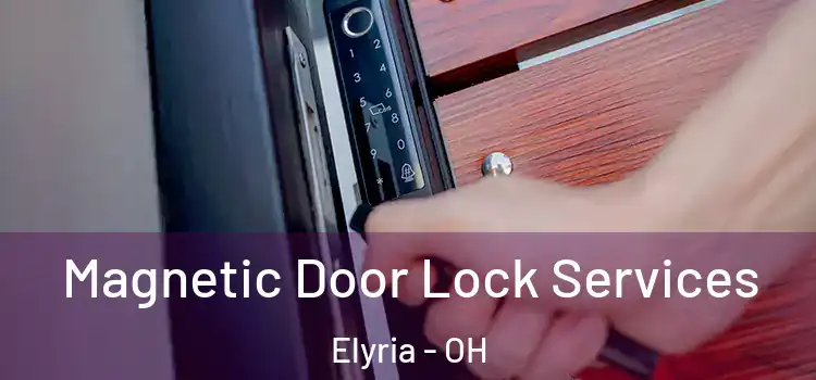 Magnetic Door Lock Services Elyria - OH